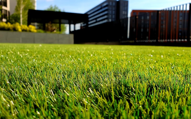Home landscaping